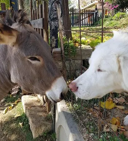 La Casa Bianca Fossacesia