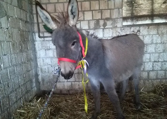 La Casa Bianca 3* Fossacesia