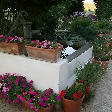 La Casa Bianca לינה וארוחת בוקר פוסאצ'סיה