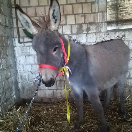 La Casa Bianca 3* Fossacesia