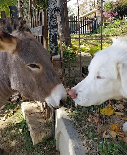 La Casa Bianca Фоссачезия